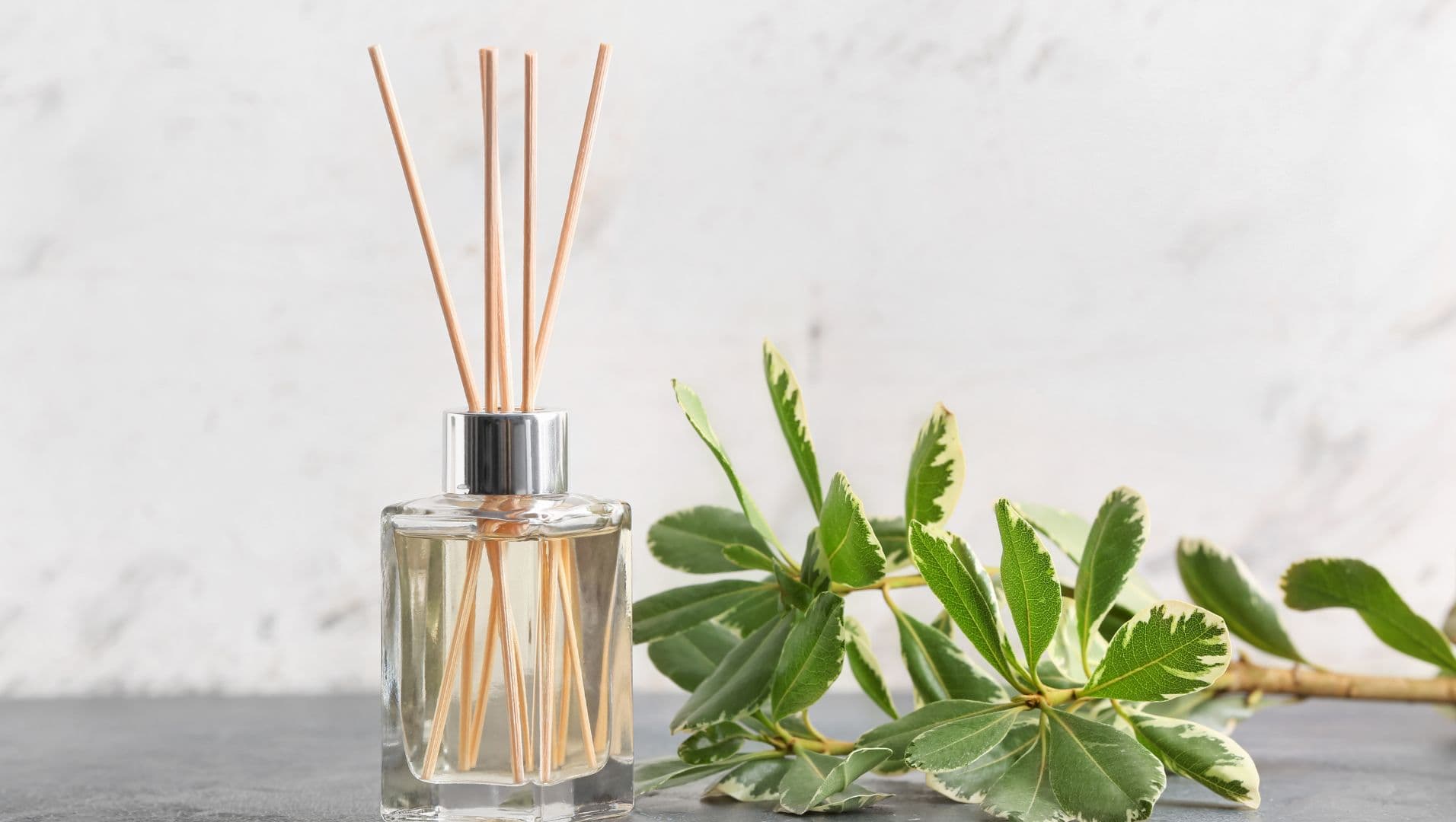 Eco-friendly diffuser reeds in a wooden holder with green leaves