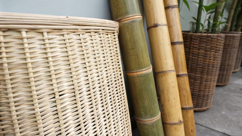 Close-up comparison of rattan and bamboo materials for furniture